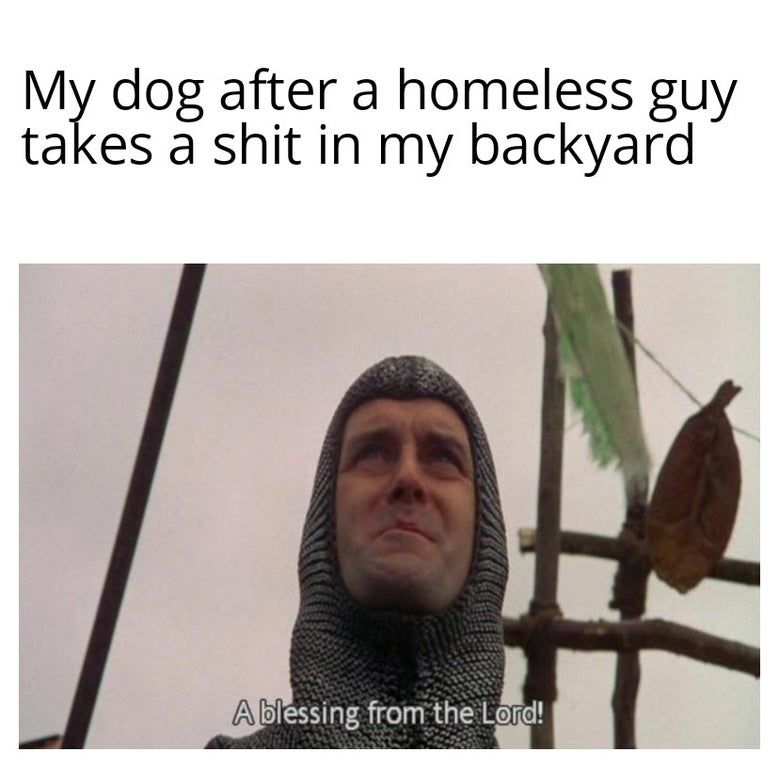 Still don't understand why dogs eat poo