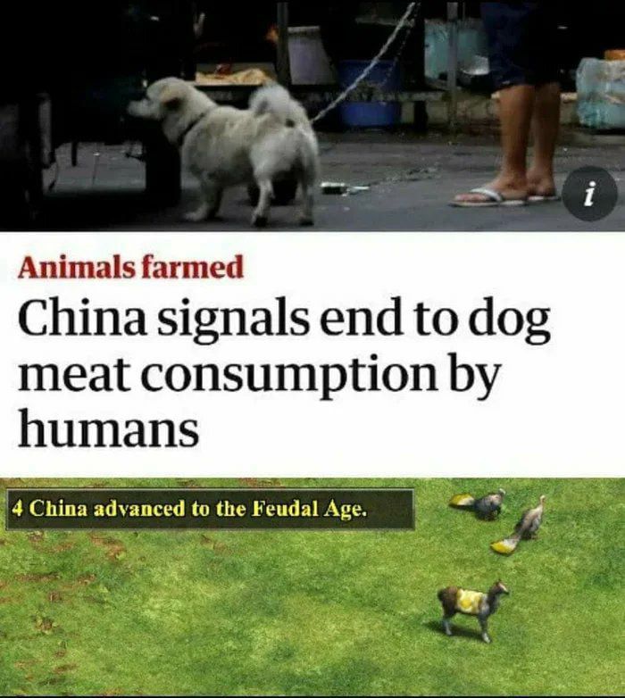 Now its only cats