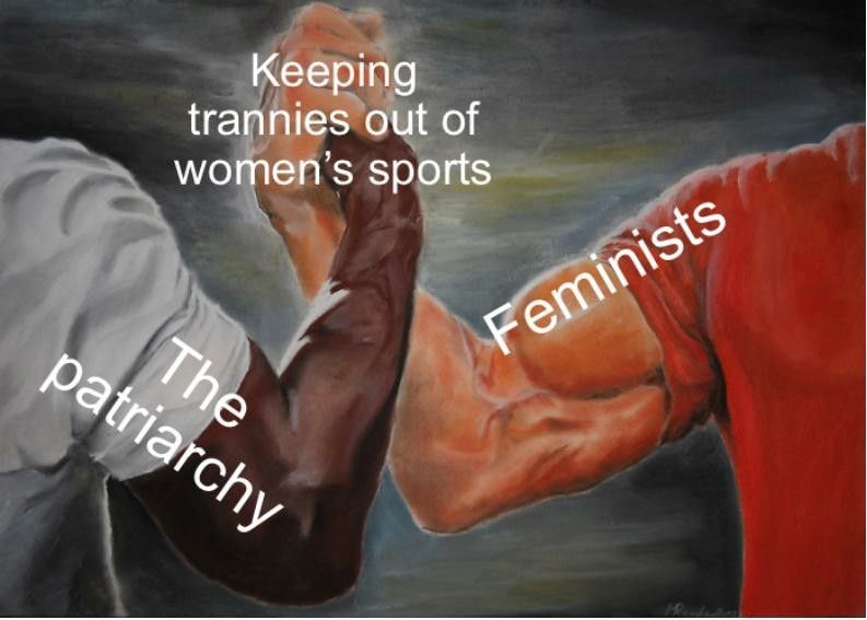 surprising allies