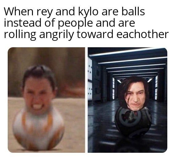 rolly poly's