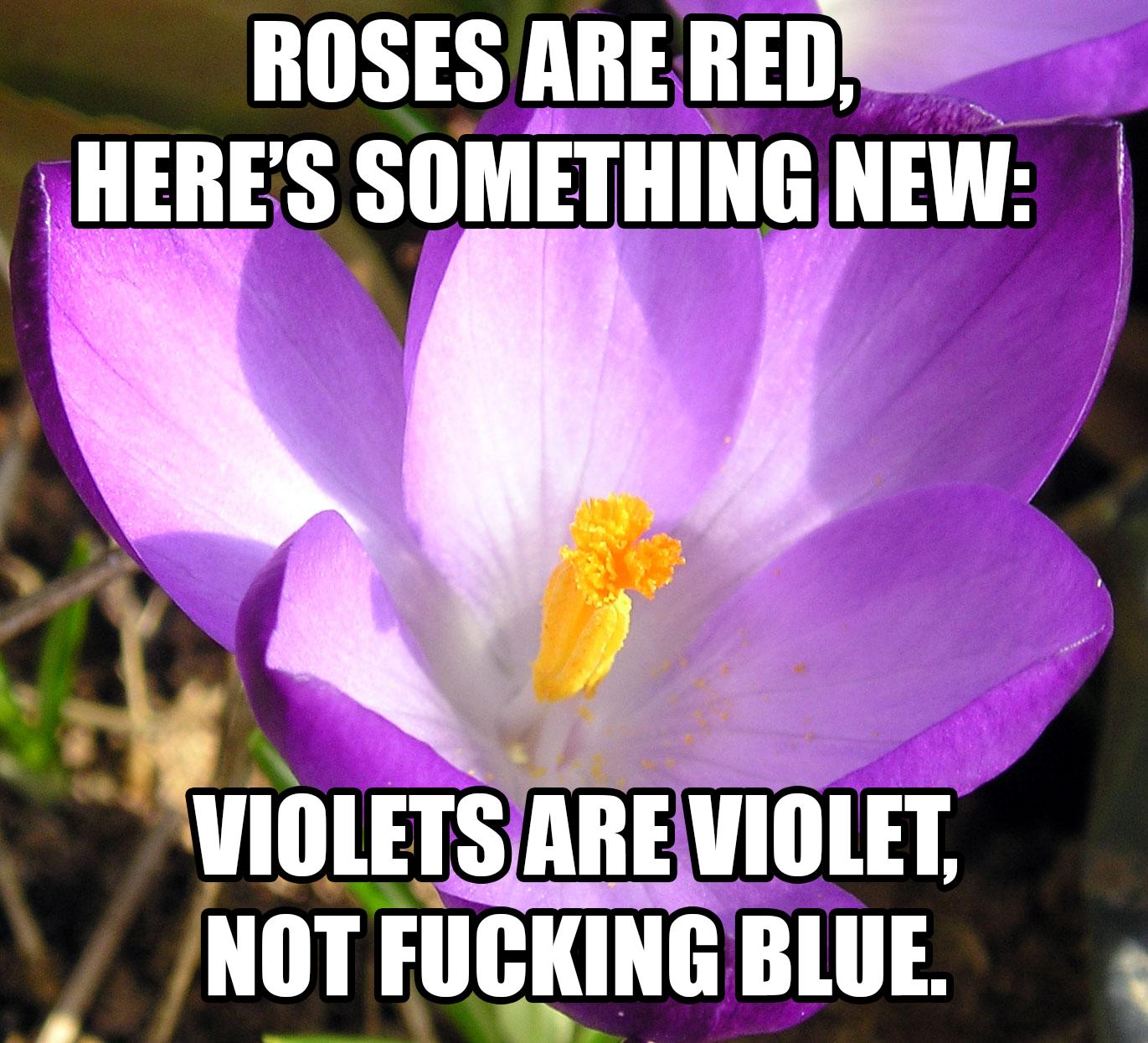 Just a little poetry for you guys...