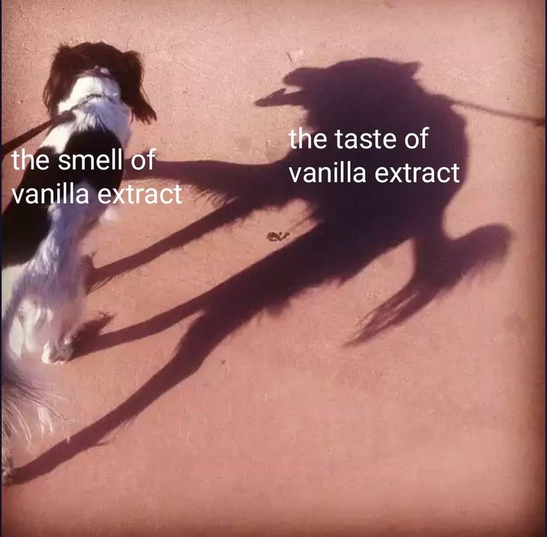 It looks tasty but it really isn't