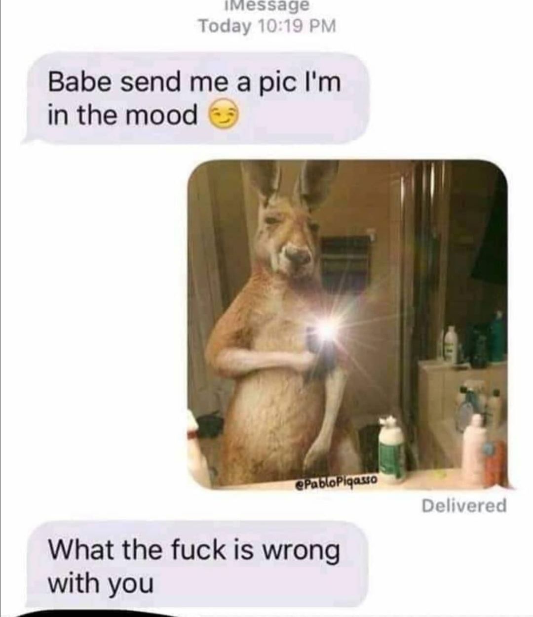 He kangaroo