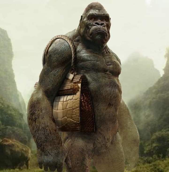 Kong WITH Godzilla