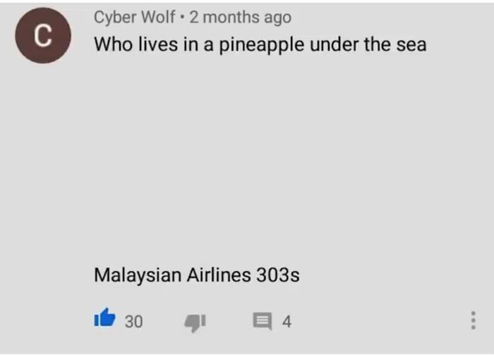 the sinking plane goes blup blup blup