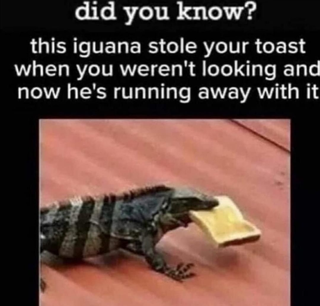Better luck next time fam