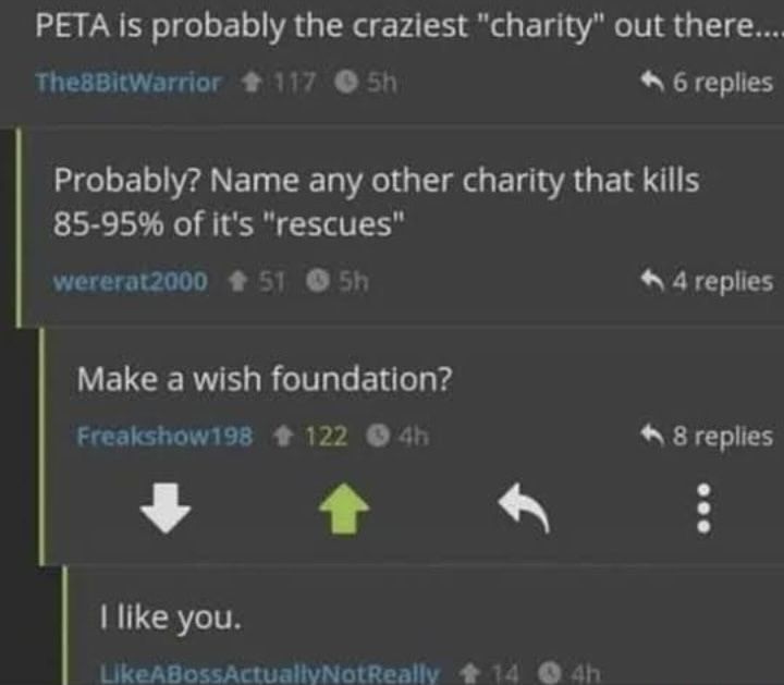 I like you too