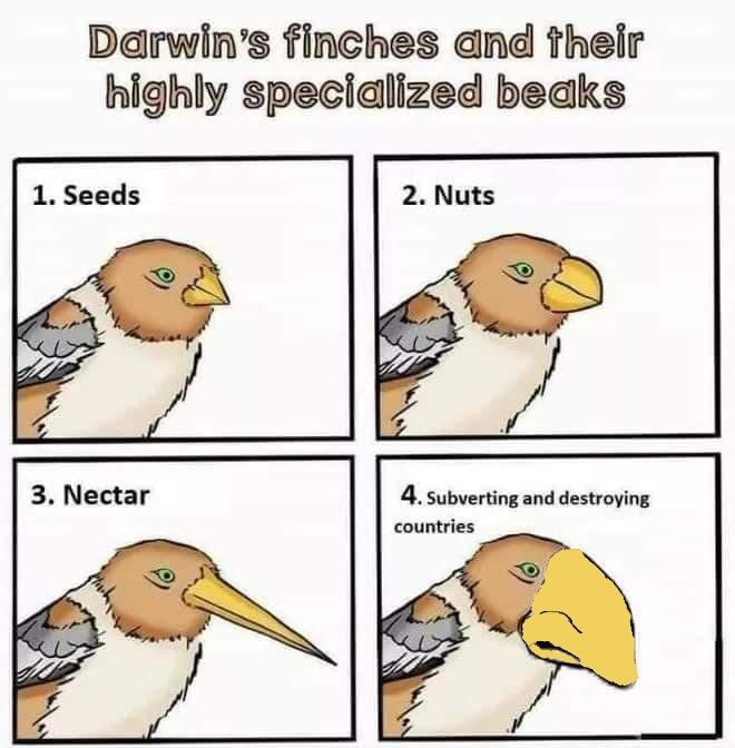 Title