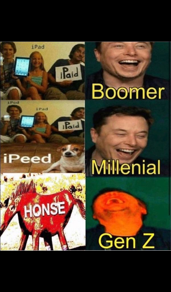 hosne xd