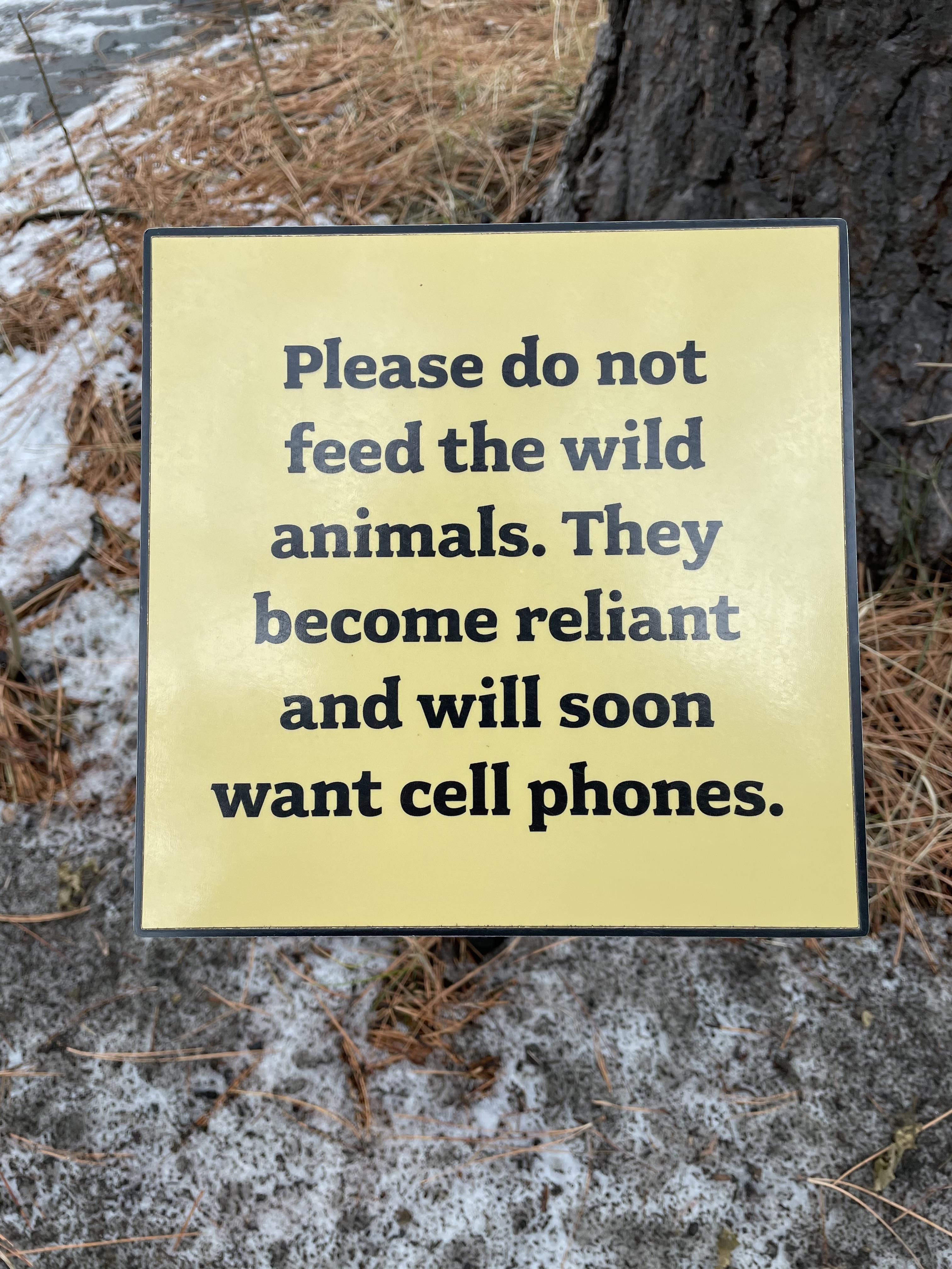 Please do not feed the animals.
