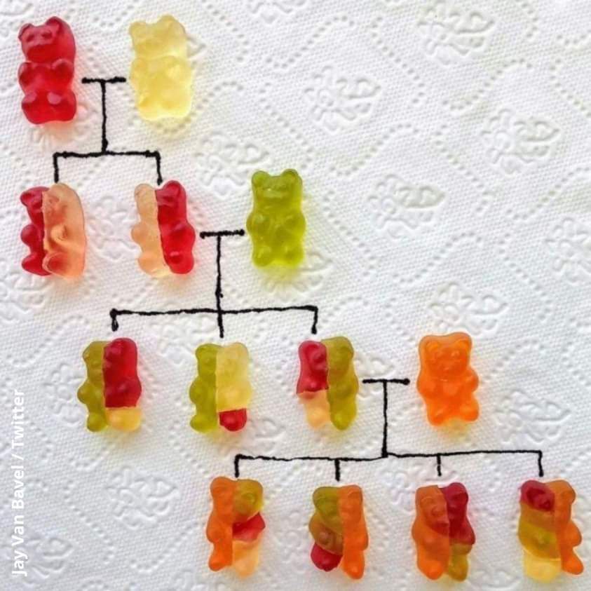 DNA for gummies