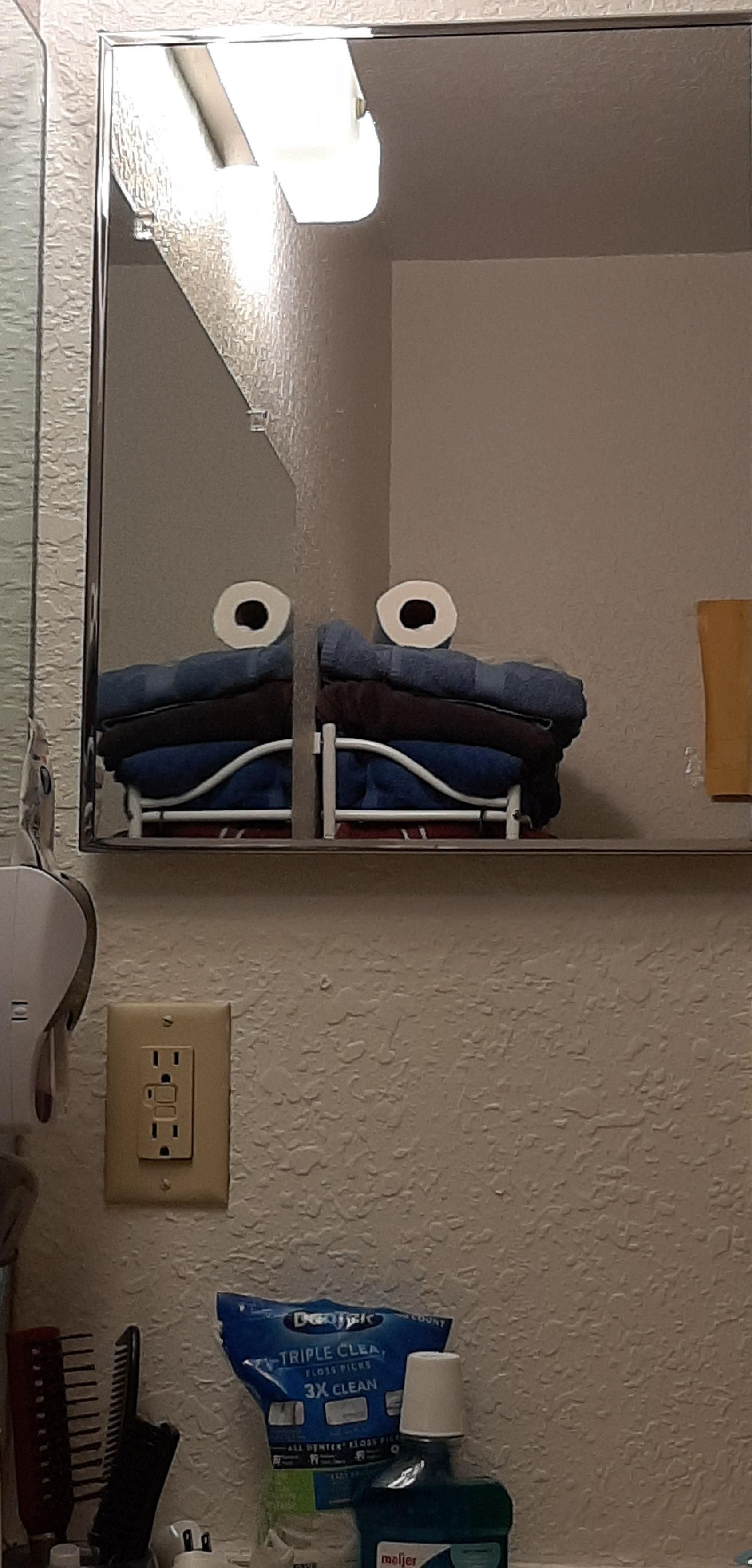 Reflection view from toilet looks like cookie monster.
