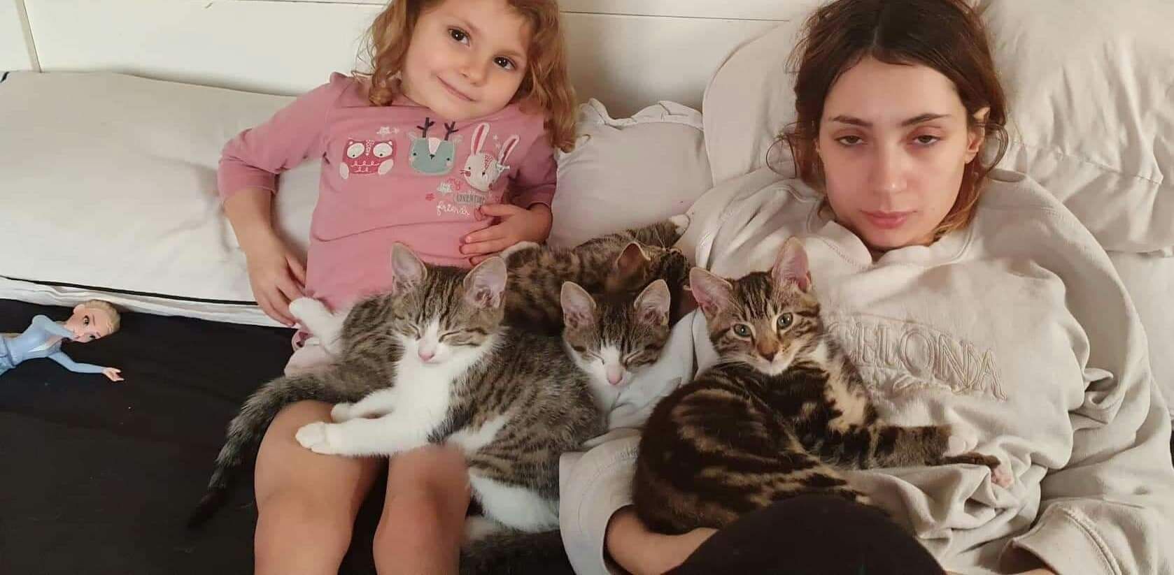 Asked my friend how her lockdown was going having dealt with a fresh litter of 4 cats and and a lively 3 year old.. this was the response I got. Face says it all.