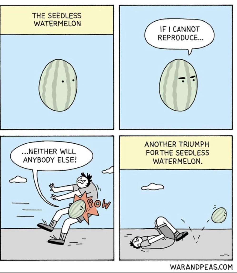 Never mess with watermelons