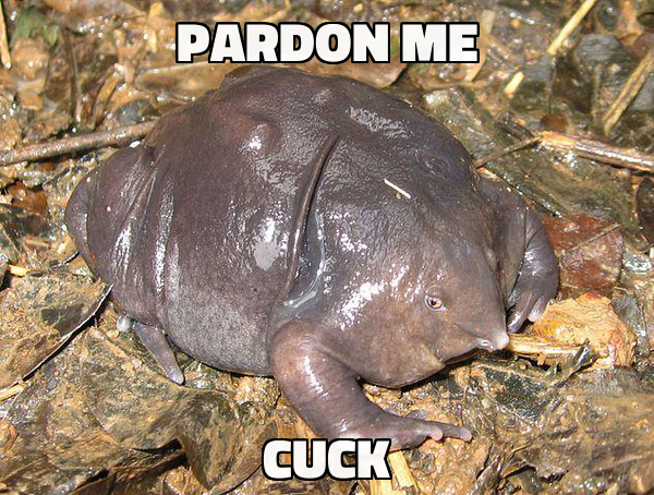 Hugelol admin