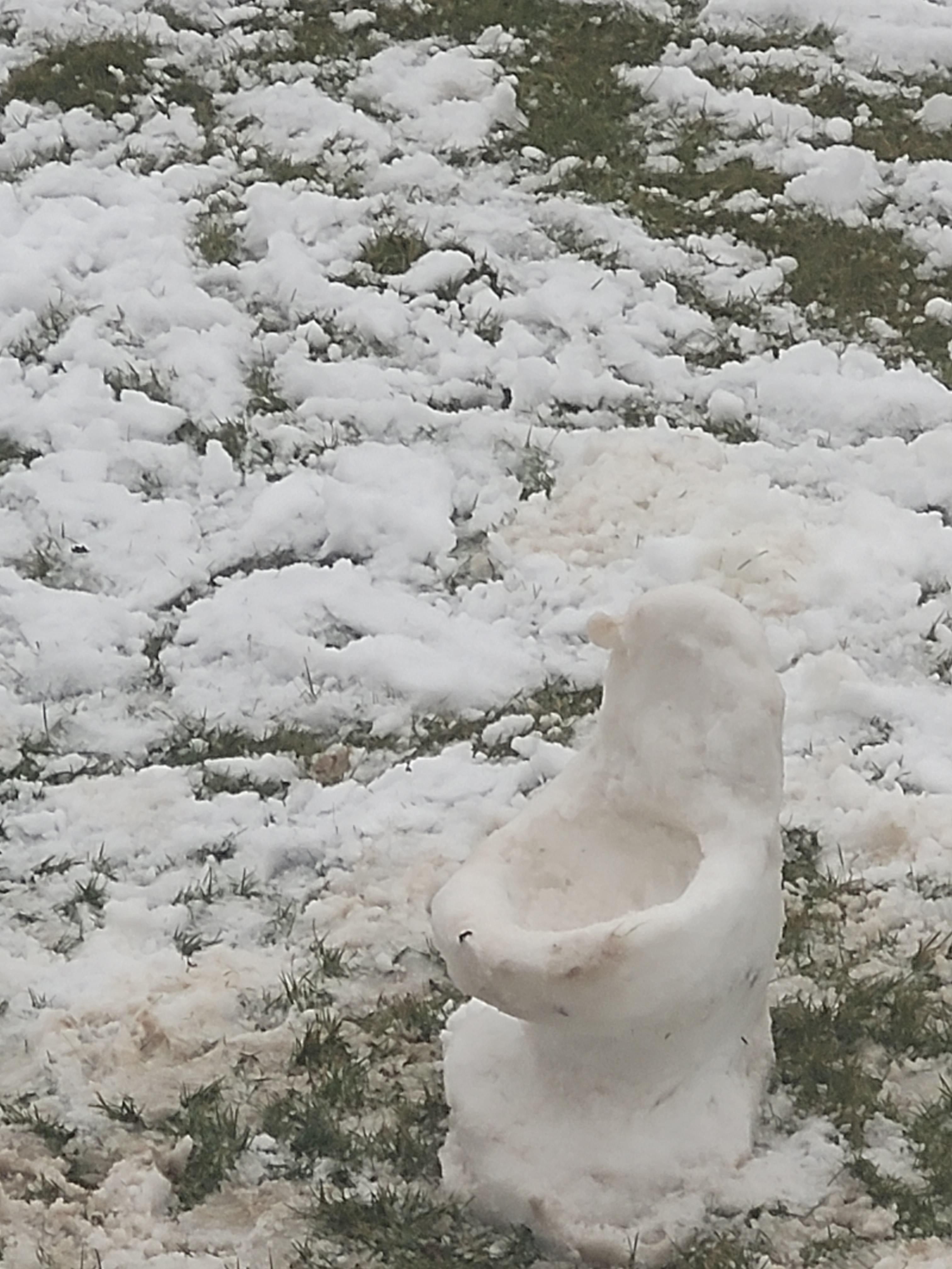 I made this yesterday SNOW TOILET
