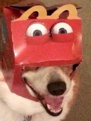 I'd like to order a happy meal please