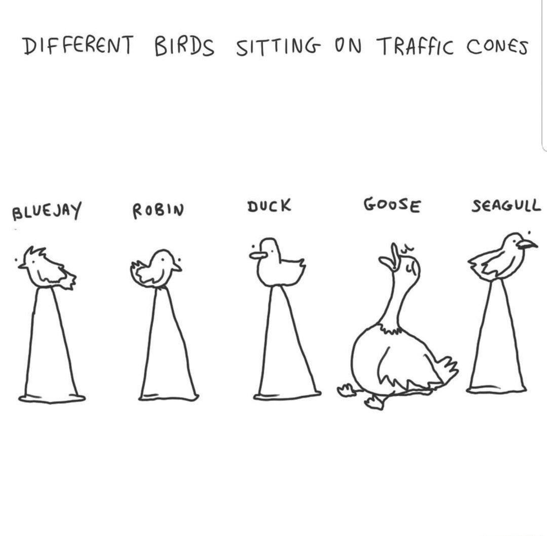 goose