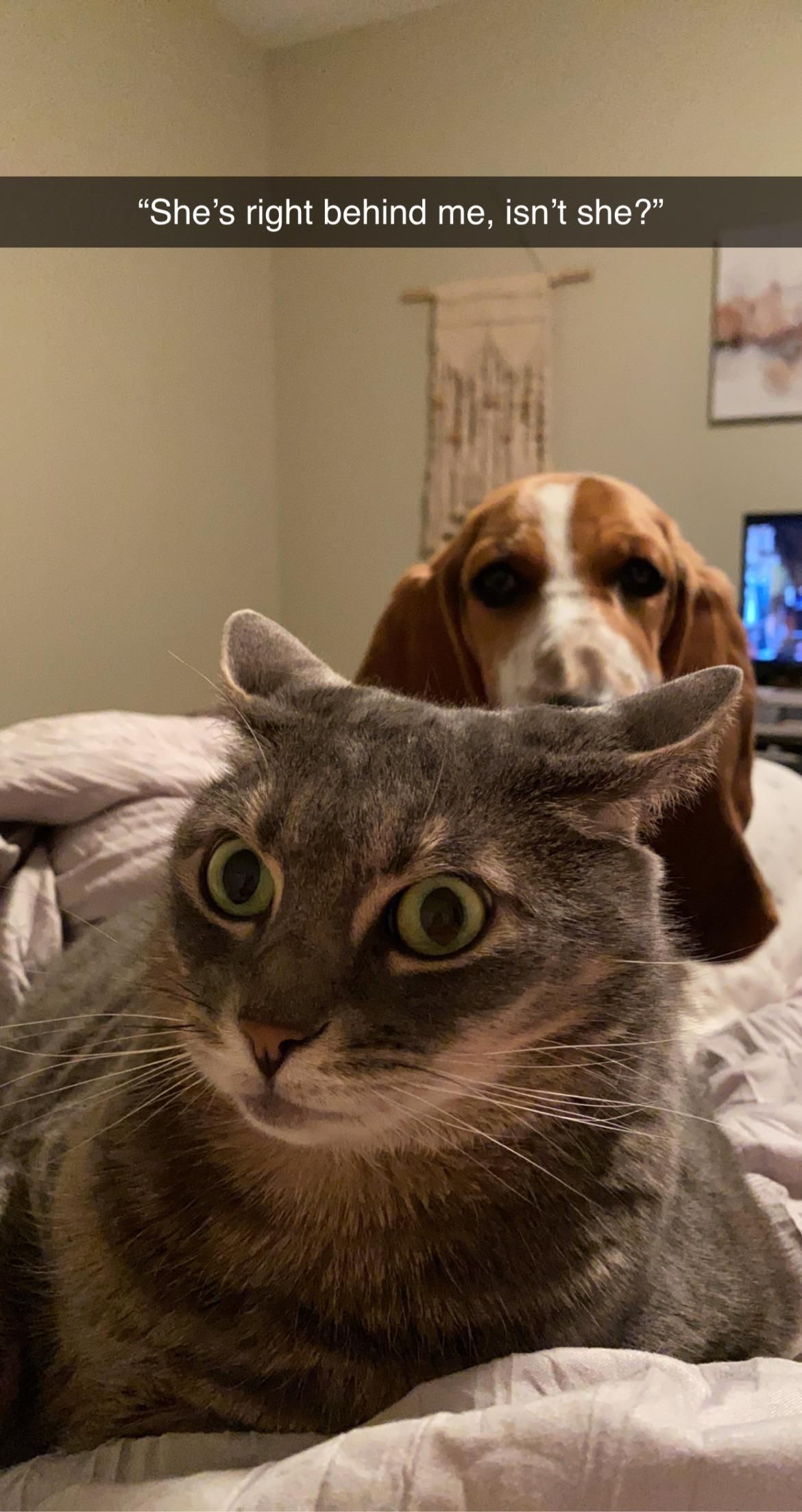 She’s right behind me, isn’t she?