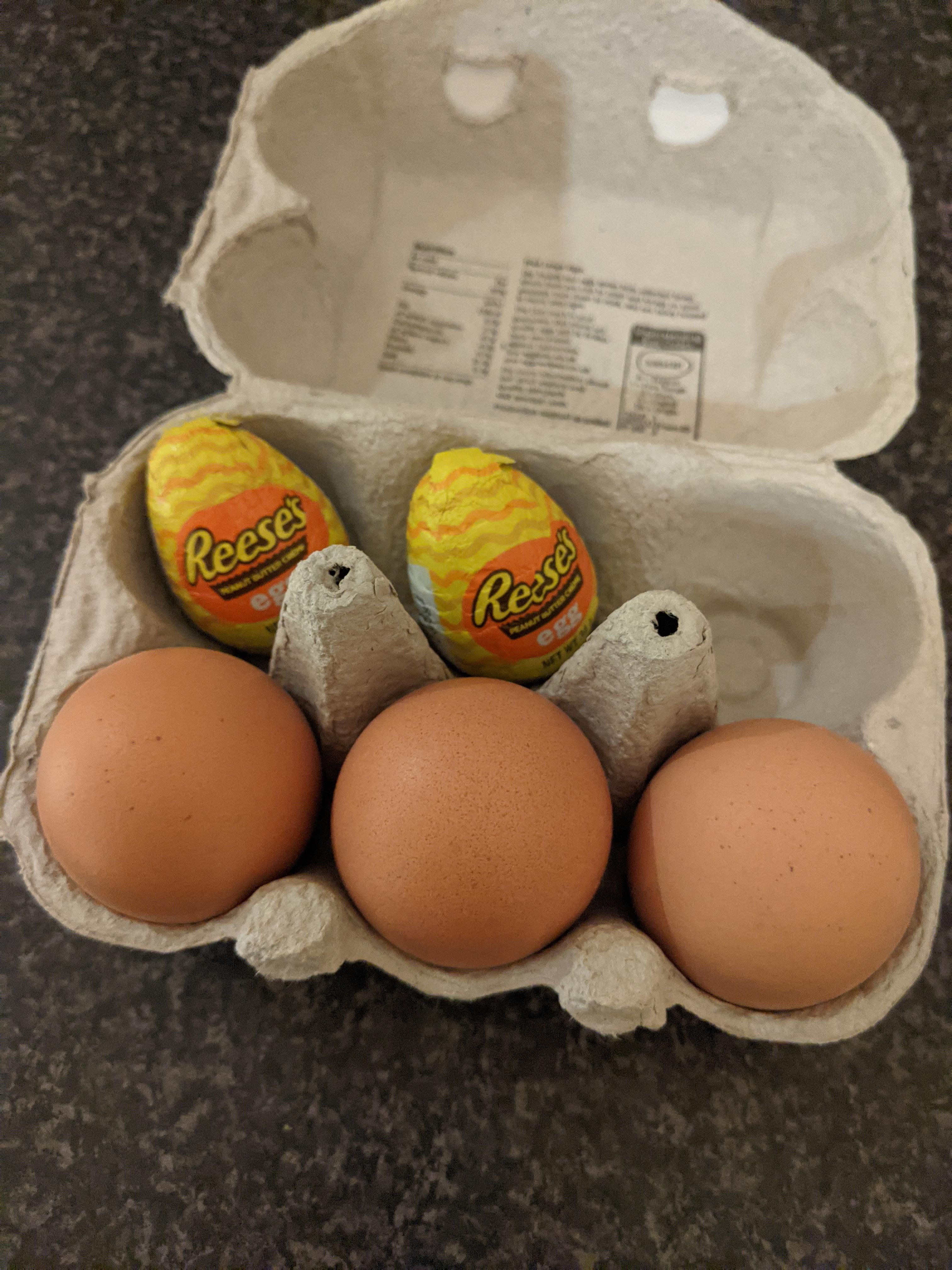 Found the perfect spot to hid these from my egg-hating, Reese's-loving boyfriend