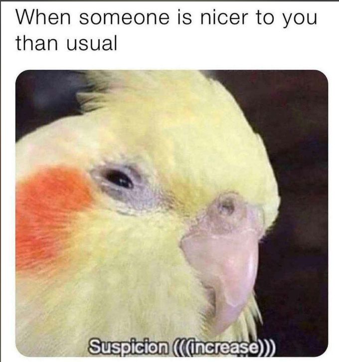 tf they want