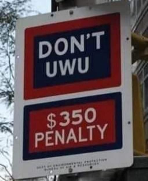 I am above the law UWU