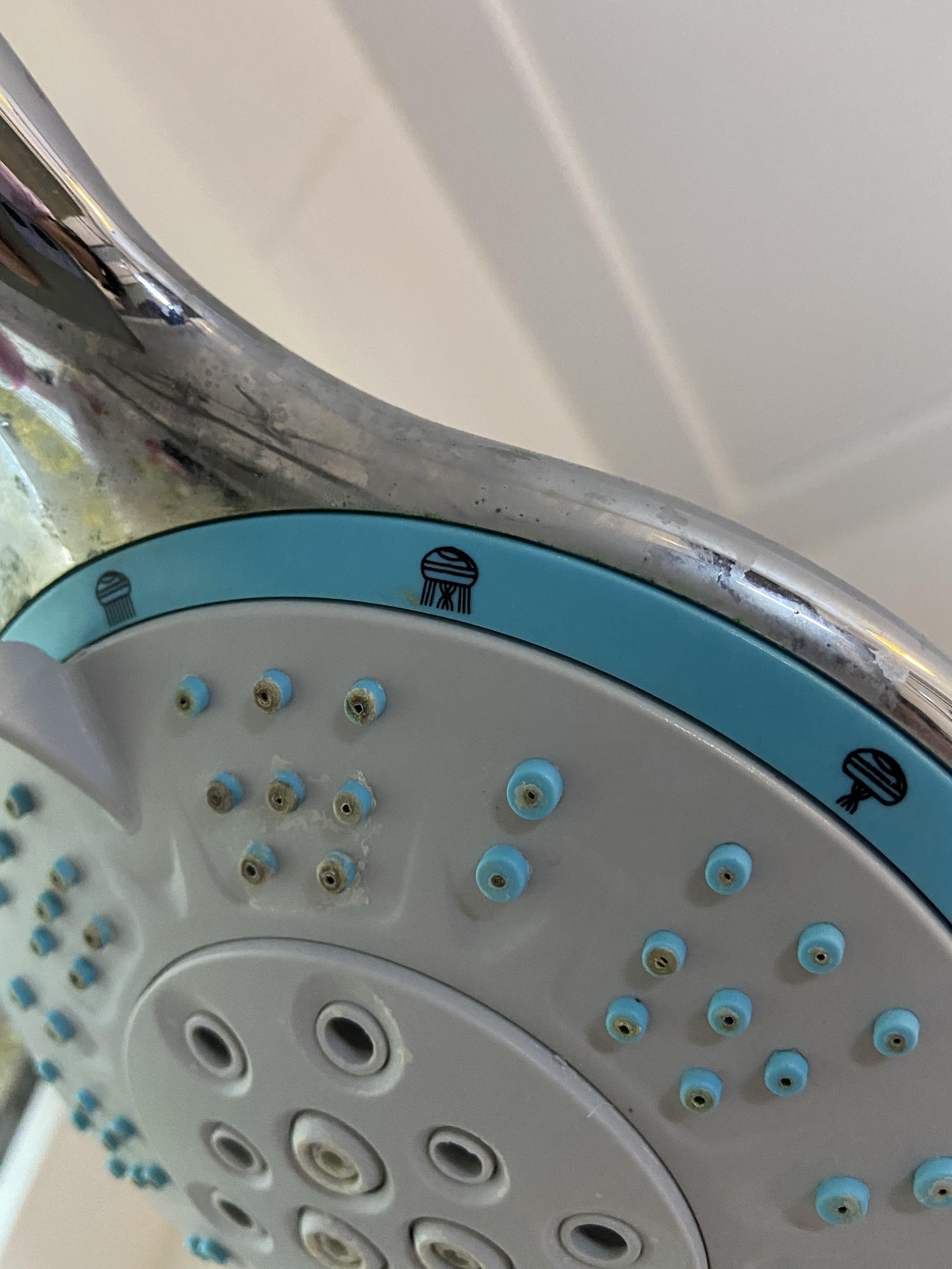 Why is there a jellyfish dance tutorial on my shower head?