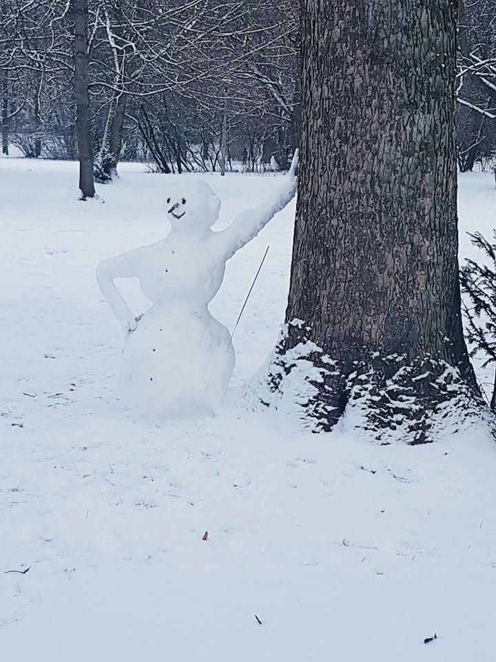 A very chill snowman
