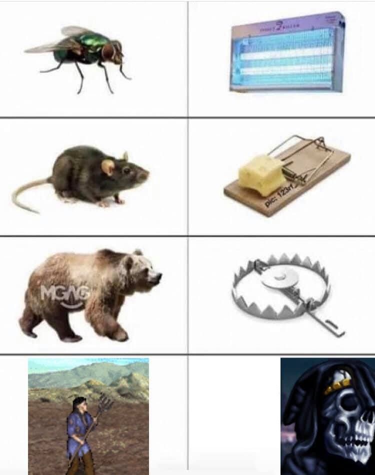 ‍ ‍ ‍