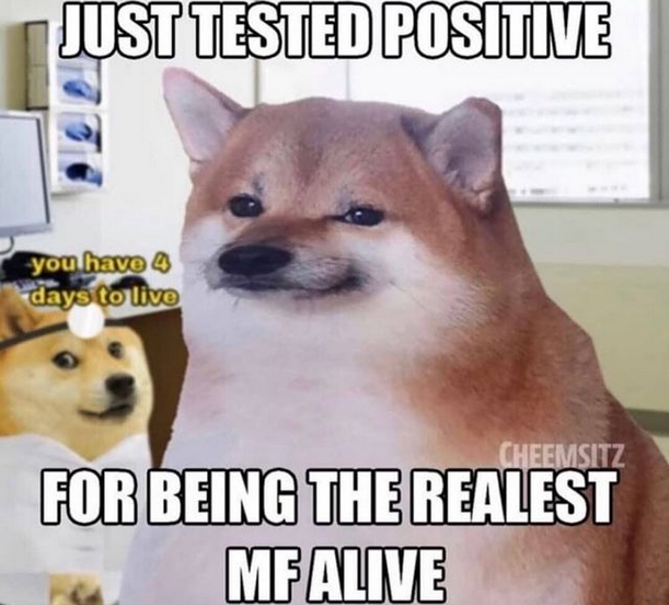 Real n-word fr fr.