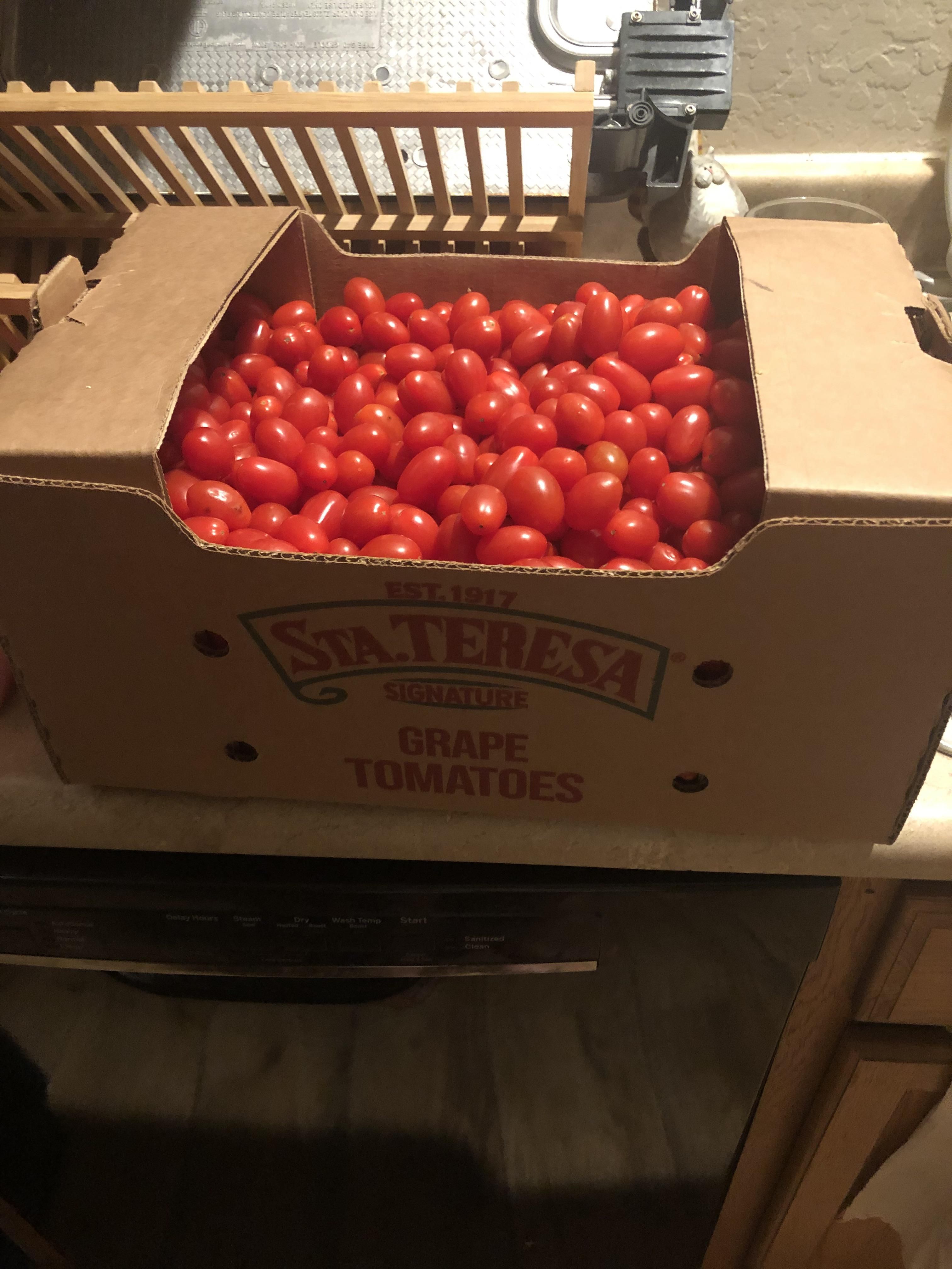 So, I asked my mom to grab some grape tomatoes. It’s a 20lb box. Guess I’ll be making tomato paste, tomato sauce and anything else that has a frigging tomato in it for the next forever... 20lbs!