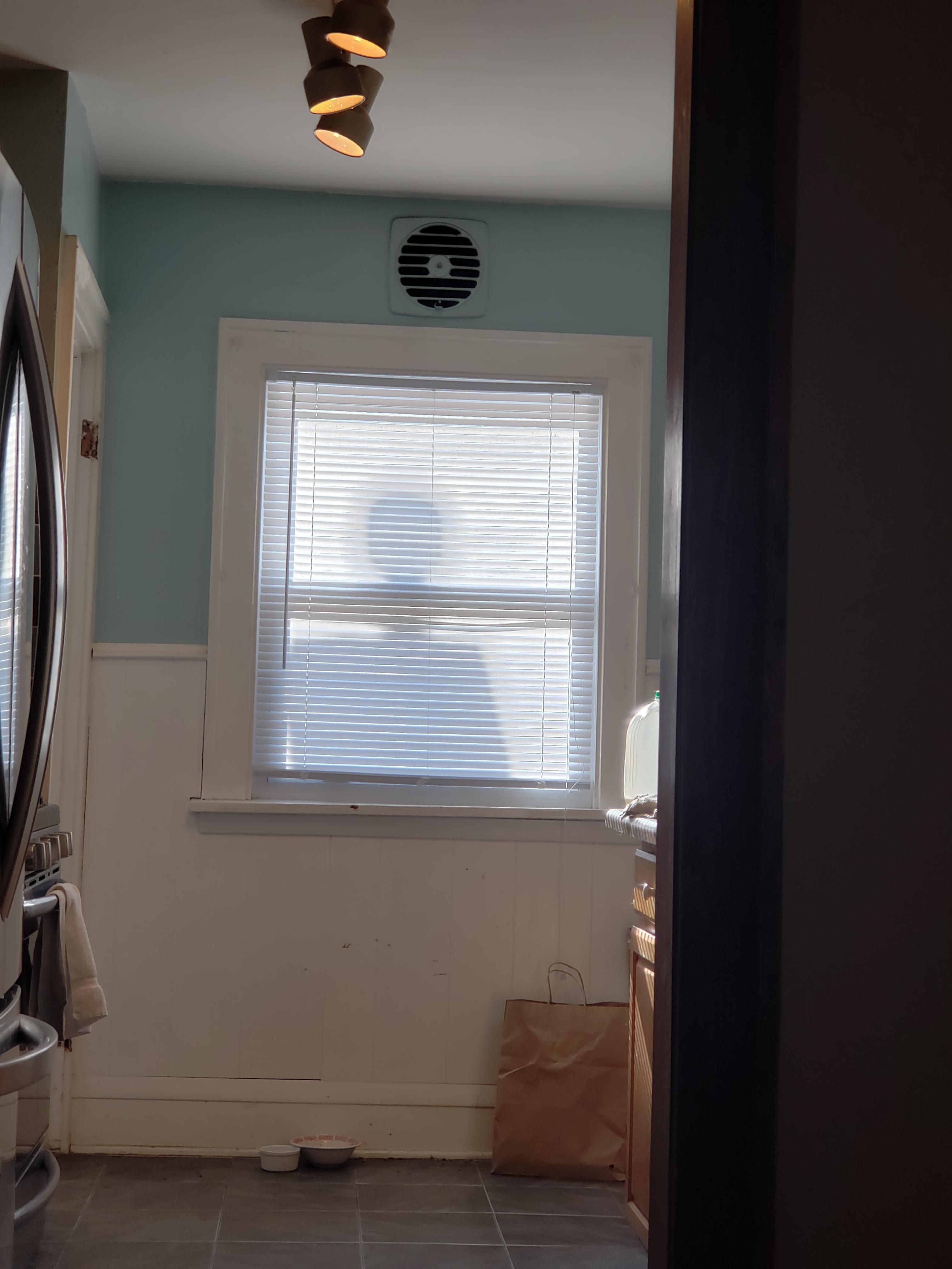Every morning at 11 or so, windowman shows up and scares the shit out of me.