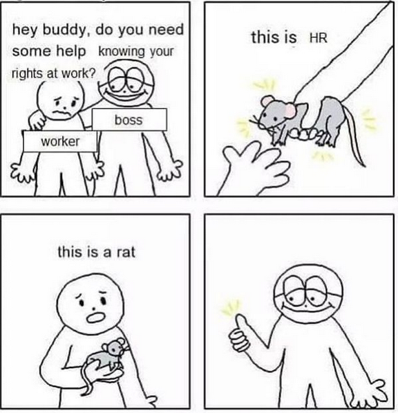 rats.