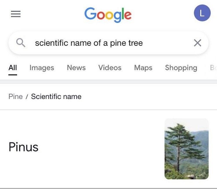 It's got wood