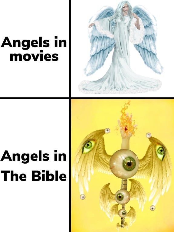 Whoever wrote the bible was really smoking that burning bush