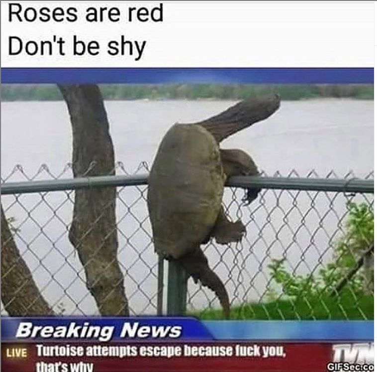 YUP