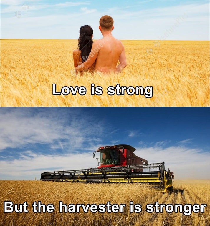 *Sad wheat noises