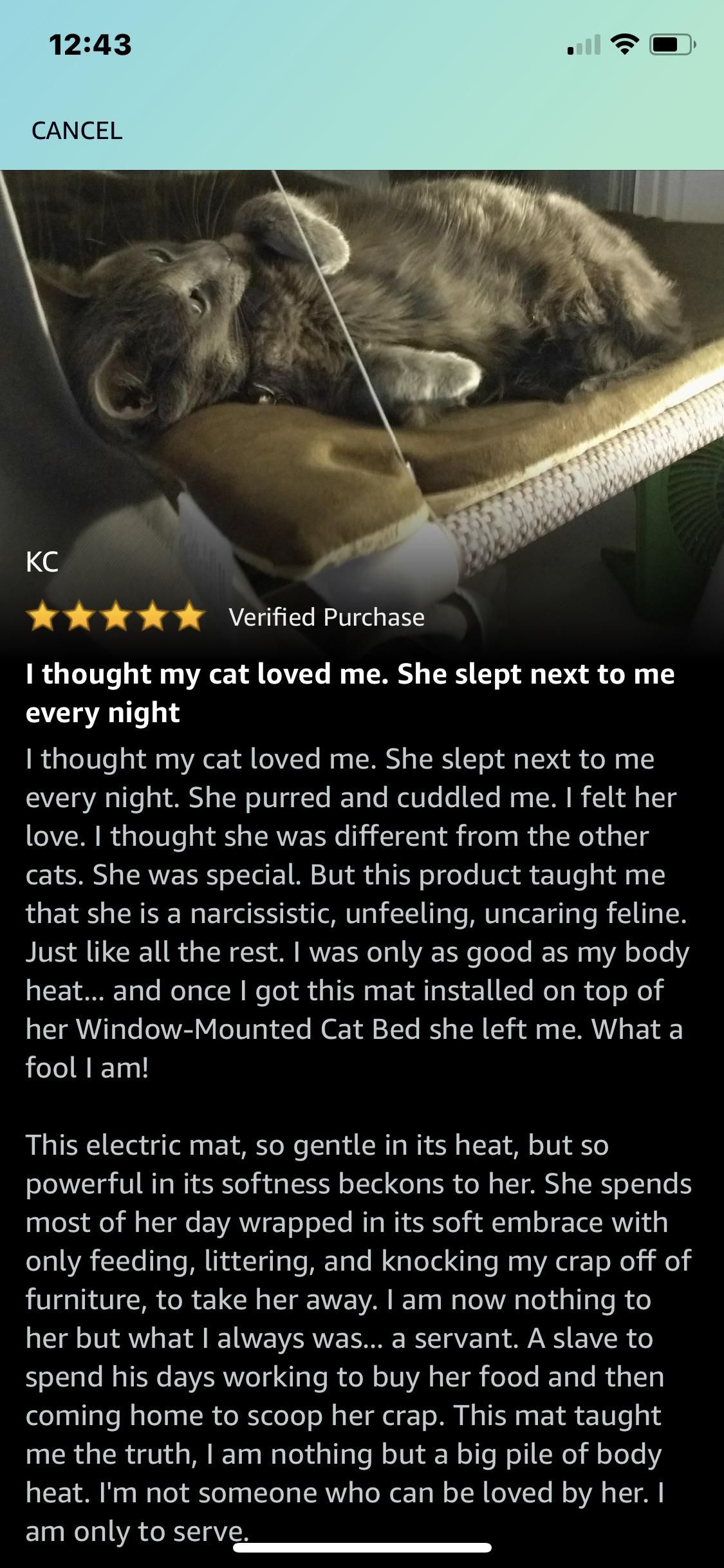 This customer’s review