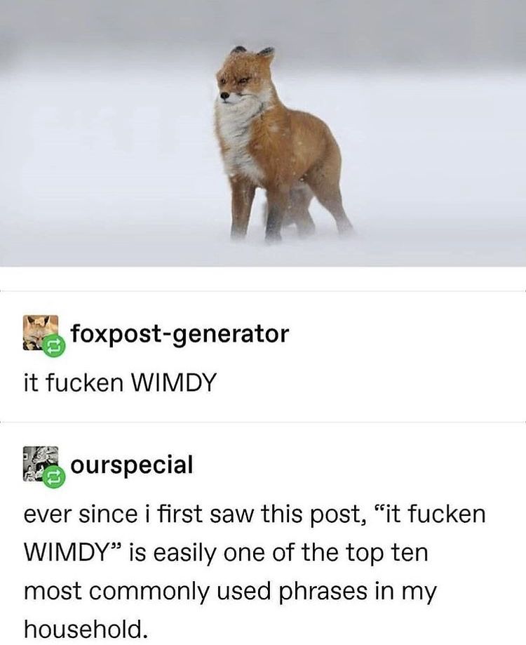 The fox almost looks like a goat/ deer