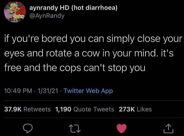 Rotating cow!