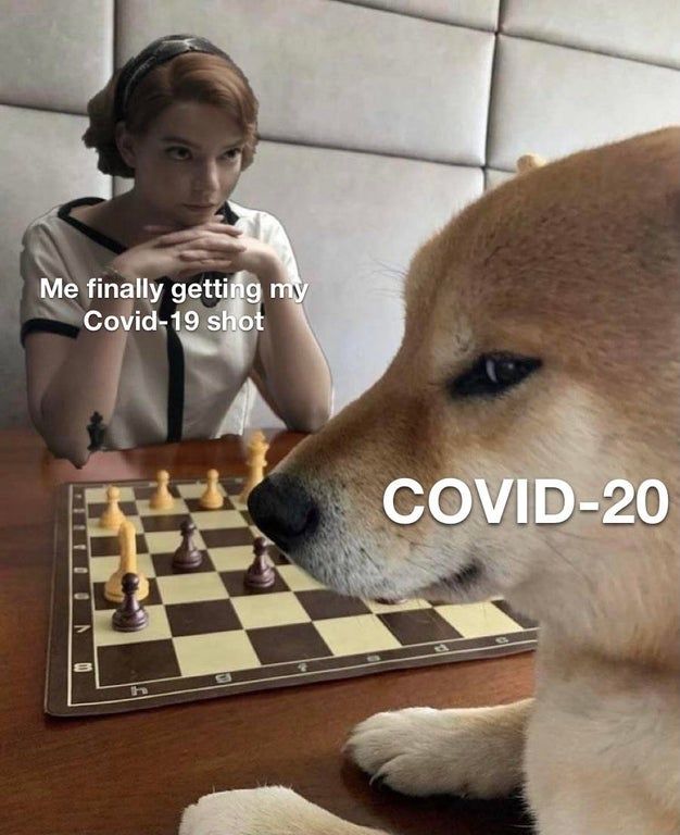 The Doge's Gambit