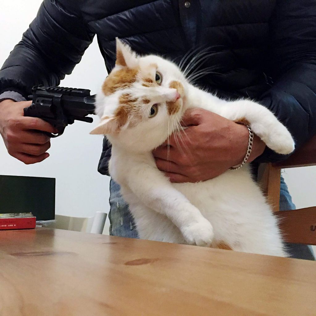 i captured dudder, you will decide what happens