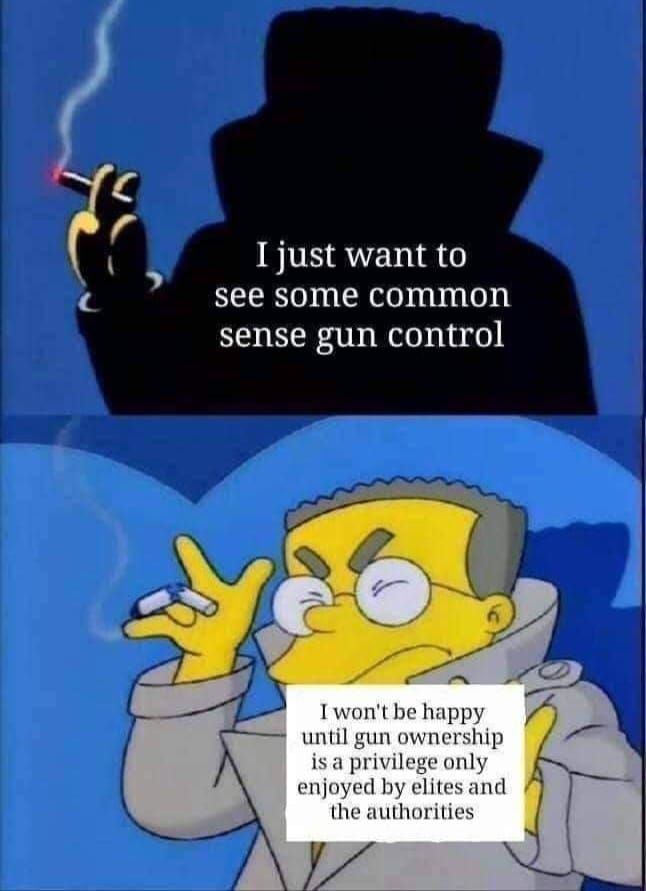 gun control disproportionaly hurts minorities brehs