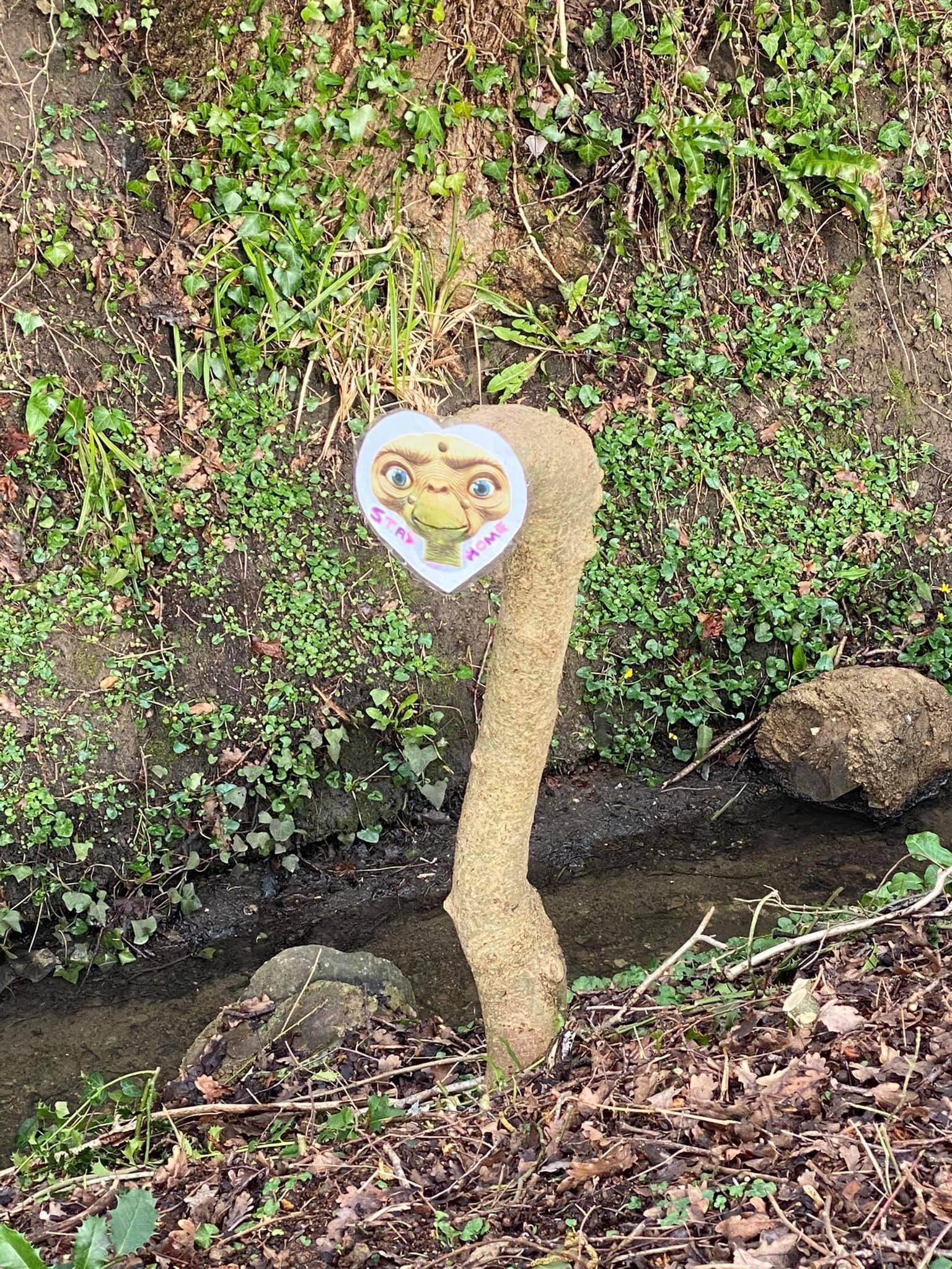 A friend saw this whilst out walking his dog.