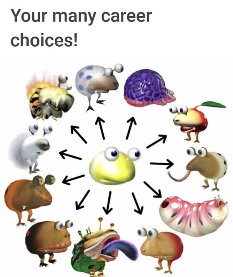 Which will you choose?