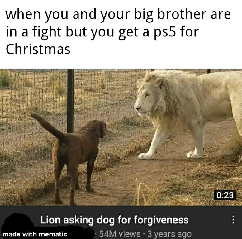 Time to play together