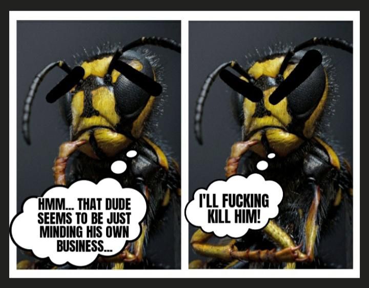 Wasps are the worst.
