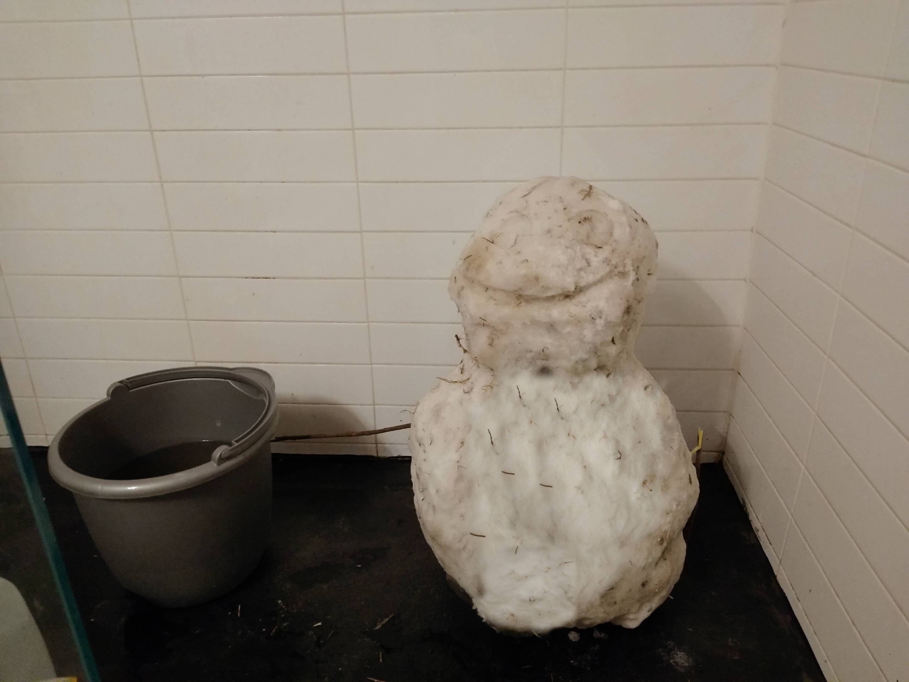 The water is cut off, so I had to steal some kids snowman so I can melt him to flush my toilet.