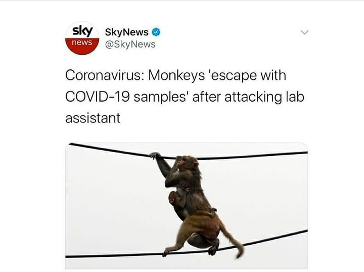We maintain absolute security of the dangerous samples, but in reality: