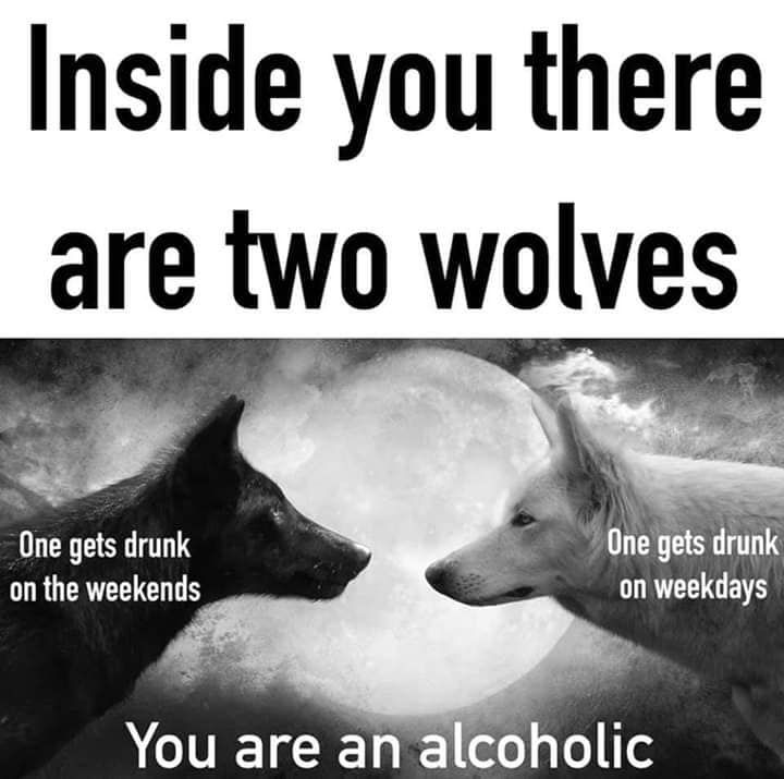 I am a wolf apparently